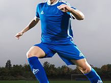 Brankářské sady