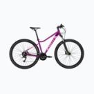 MTB kola