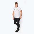 Pánské trekové tričko Salewa Lines Graphic Dry white 00-0000028065 2