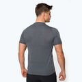 Pánské trekové tričko Salewa Pedroc 3 Dry grey 00-0000027725 3