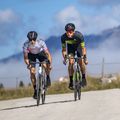 Pánský cyklistický dres Alé Turbo černý L22130401 8