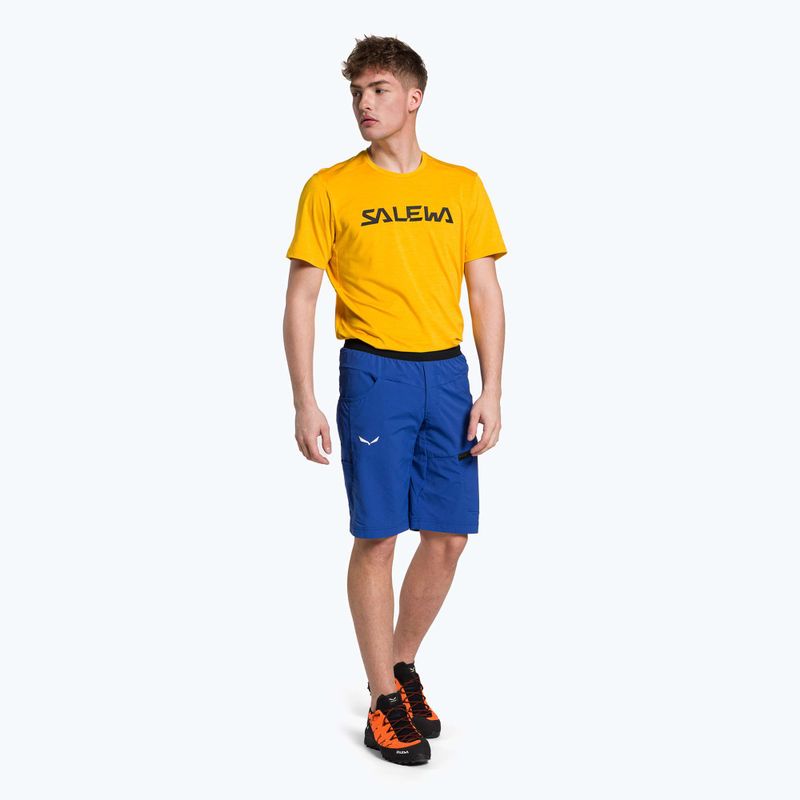 Pánské turistické šortky Salewa Agner Light modré 00-0000027380 2