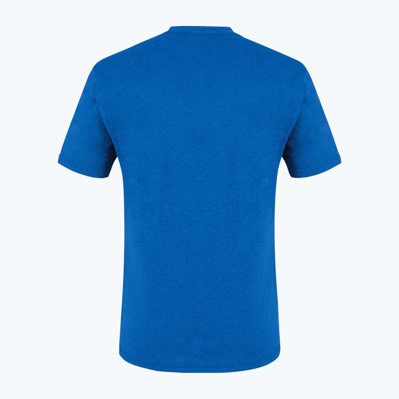 Pánské trekingové tričko Salewa Alpine Hemp Logo modré 00-0000028132 5